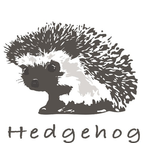 送料無料 ハリネズミ（hedgehog） 3枚目の画像