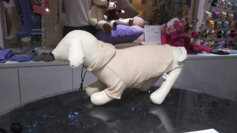 カシミヤのわんちゃんフードウェア