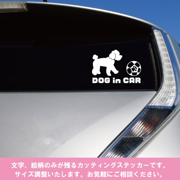DOG in CAR　トイプードルステッカー　車用 5枚目の画像