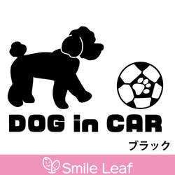 DOG in CAR　トイプードルステッカー　車用 6枚目の画像