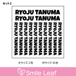 お名前シール 大サイズ＆中サイズセット ローマ字バージョン カッティングステッカー　屋外　耐水　防水 4枚目の画像