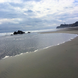 海の耳飾り 4枚目の画像