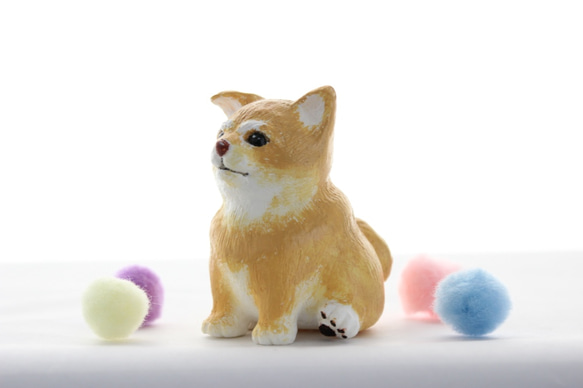 【國內免費送貨】明亮的赭石Shiba Inu 第3張的照片