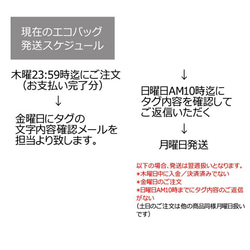 ★名入れ文字入れタグ付★A4紙やコンビニ弁当が入るエコバッグ（Medium） 5枚目の画像