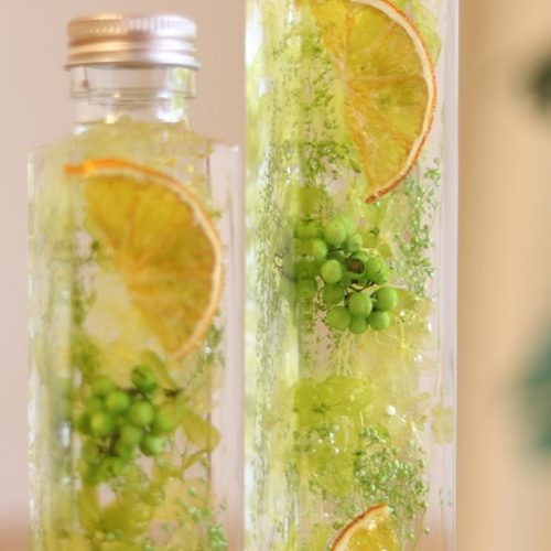 ハーバリウム*Orange*M,Lサイズ* ハーバリウム・植物標本 lala salama