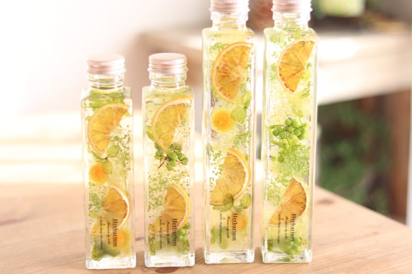 ハーバリウム*Orange*M,Lサイズ* ハーバリウム・植物標本 lala salama