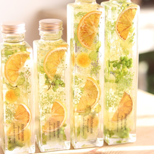 ハーバリウム*Orange*M,Lサイズ* ハーバリウム・植物標本 lala salama