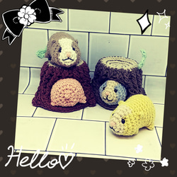 【オーダーページ】Ohanakko 編みぐるみ　ハムスター　ハムちぐら　セット 1_a56640c858be2086b6df31ae4d58