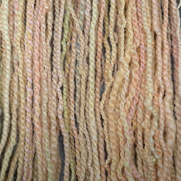手染め手紡ぎ毛糸　【ポルワス】ーお試しワンコインー（2021061301） 5枚目の画像
