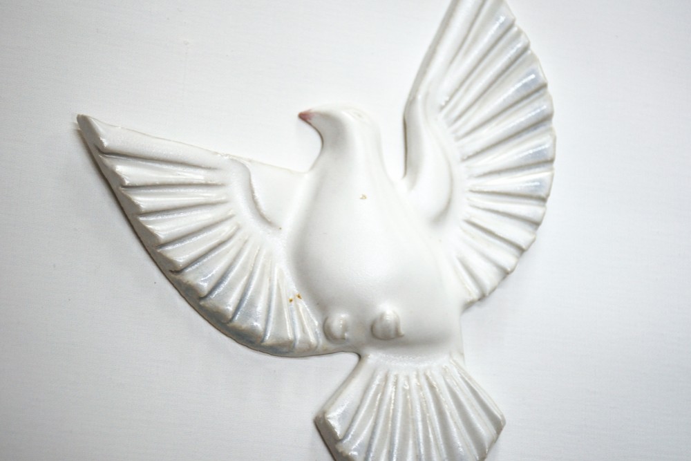 幸せの白い鳩C