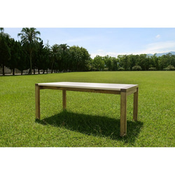 自然-現代[雙色梣木餐桌] 第2張的照片