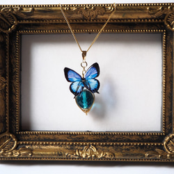 青と蝶のネックレス/チョーカー ～ルリウラナミシジミ～ 3枚目の画像