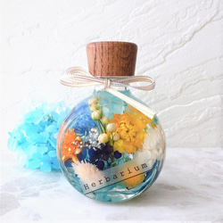 ハーバリウム ～エジプシャングラス①～ ハーバリウム・植物標本 麗花