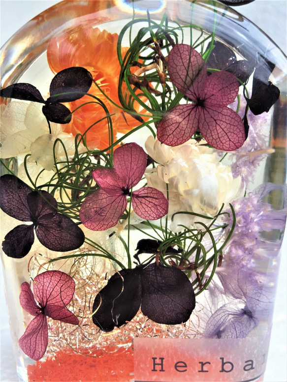 ちょっぴりハロウィンカラーのハーバリウム　～ 紫陽花とヘリクリサムとゴアナクロウ (ウイスキーボトル) 〜 3枚目の画像