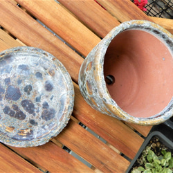 モダンモザイク柄　陶器鉢　植木鉢　プランター　鉢　 5枚目の画像
