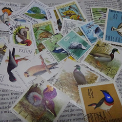 ★世界の切手★　鳥　15枚　レジン　コラージュに　古切手　送料最安84円 1枚目の画像