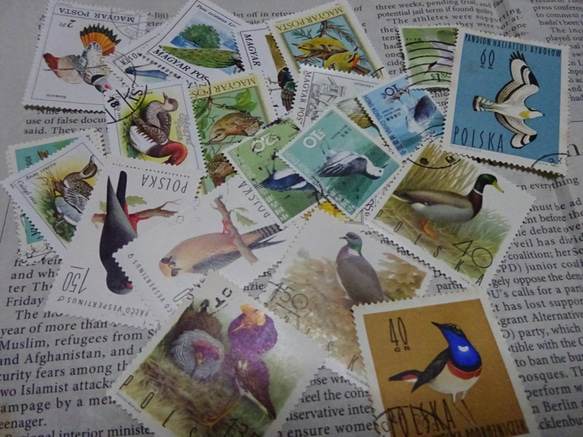 ★世界の切手★　鳥　15枚　レジン　コラージュに　古切手　送料最安84円 1枚目の画像