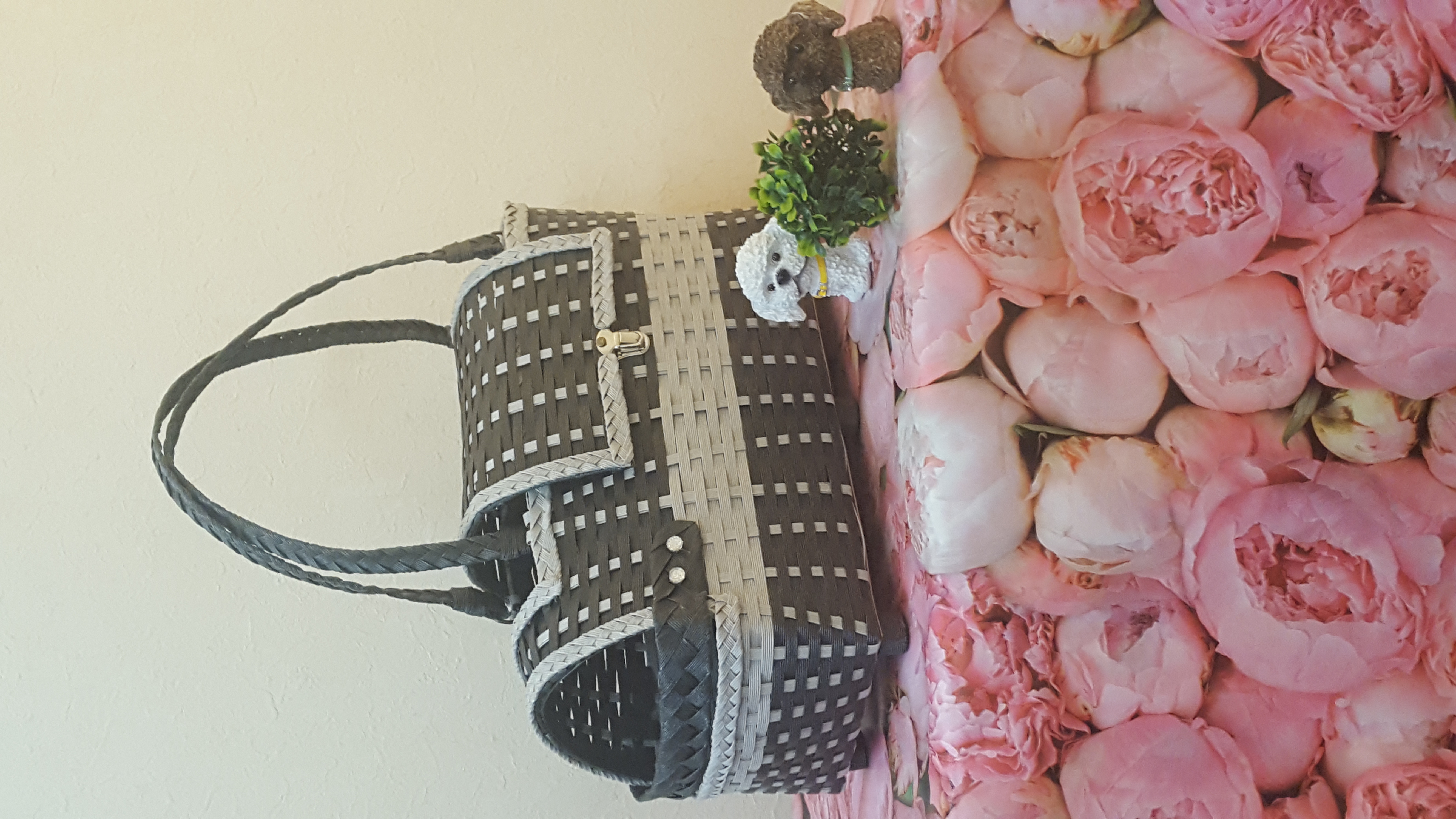 犬用キャリーバッグ　withわん　小型犬用