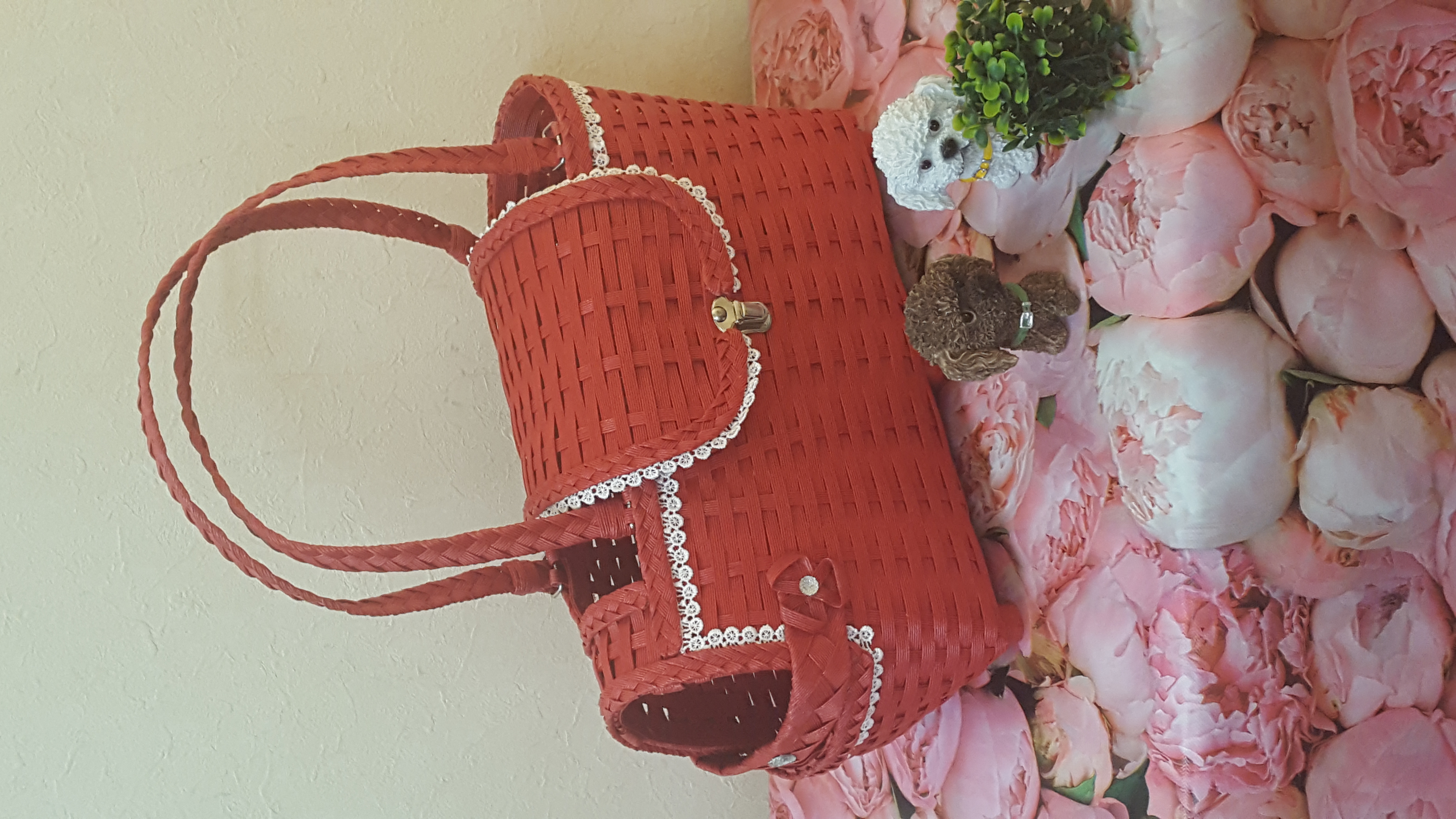 犬用キャリーバッグ　withわん　小型犬用