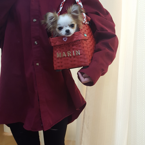 犬用キャリーバッグ withわん 小型犬ベア(2匹用) ペット服