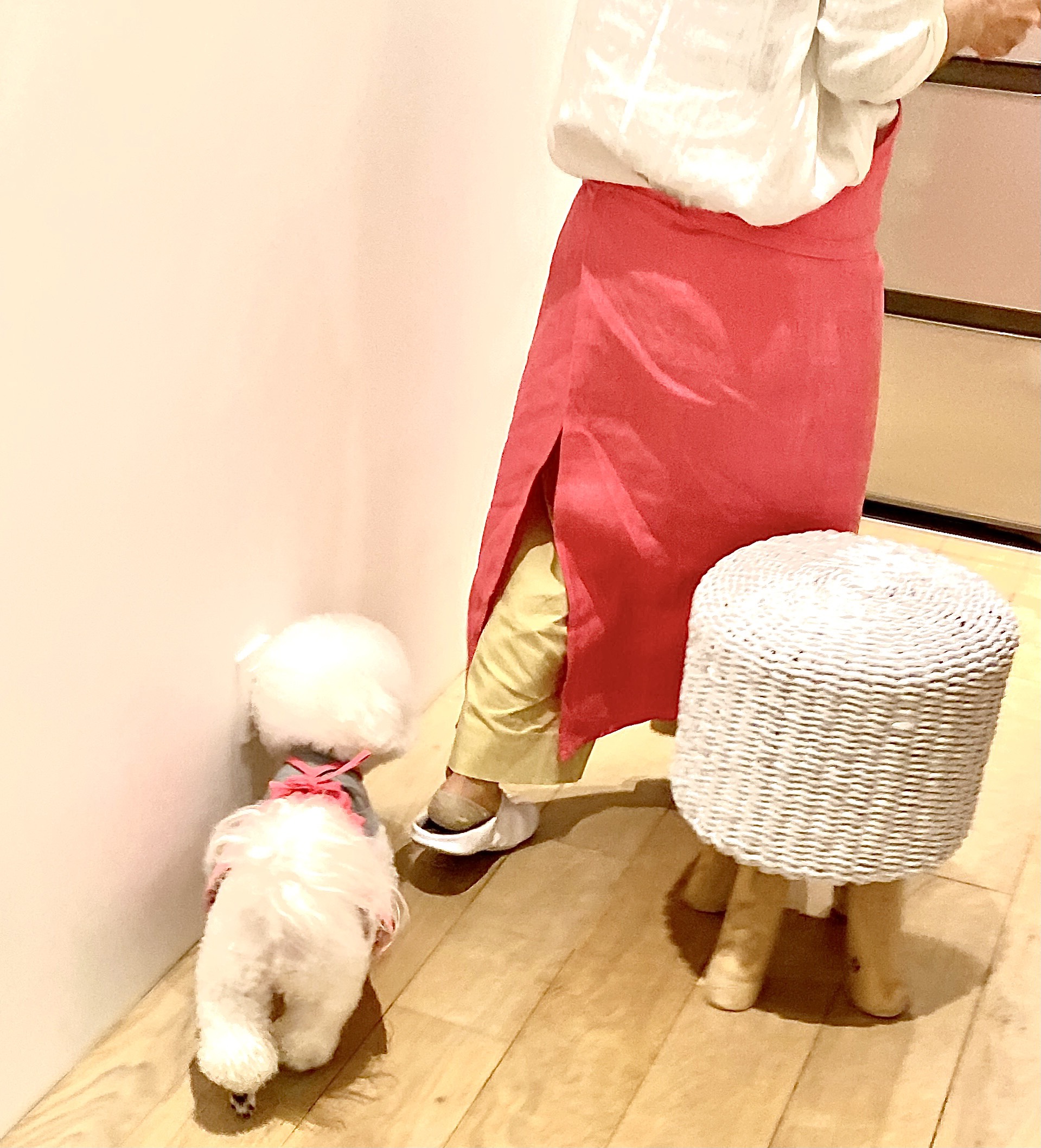 ワンちゃんとお揃いにできる！リネンエプロン（鮮やかなピンク）