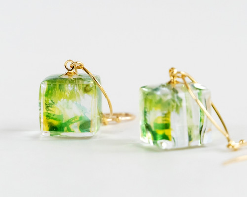 みどりの葉の箱のピアス ＜ レジン 透明 キューブ グリーン 植物 写真