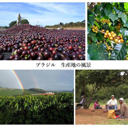 takechiyoブレンド 100g【人気、飲みやすさNo.1! 】【自家焙煎コーヒー豆】 6枚目の画像