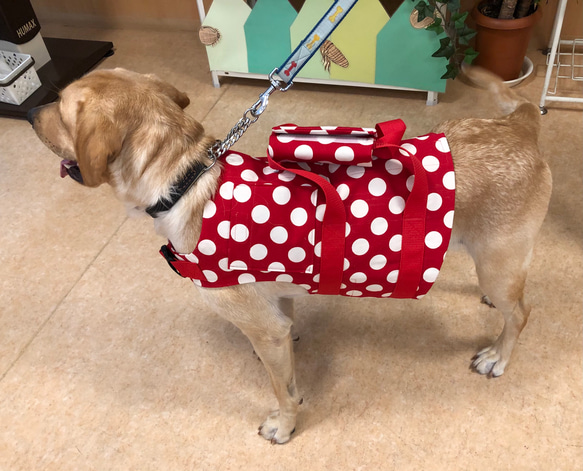 ⭐️大型犬　ハーネス⭐️ 4枚目の画像