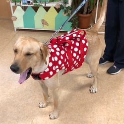 トチナツ様　オーダー大型犬ハーネス⭐️ 3枚目の画像