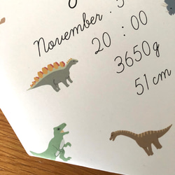 《dinosaur》恐竜がいっぱい❁命名タペストリー 7枚目の画像