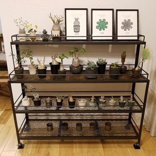 lizeworks Botanaiz Shelf 植物棚 BOTANAIZ SHELF 植物棚 w1200mm ※受注製作 棚・シェルフ・ラック