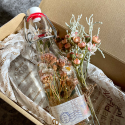 SAデージーと花かんざしのハーバリウム　250ml イタリア製ボトル(アンティークピンク) 3枚目の画像