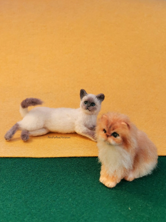 1:6 シミュレーションミニチュアドールハウスペットチンチラ猫小さな縫いぐるみ人形ペットブライス純粋な手作り作品 --- カスタ 5枚目の画像