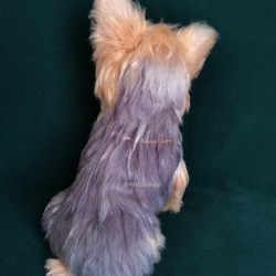 「接單製作」高級仿真羊毛氈立體整身寵物像 植毛仿真約克夏犬---來圖定制 第7張的照片