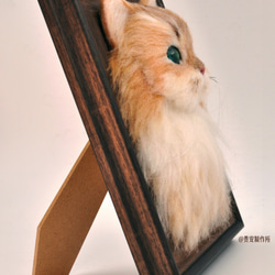 「接單製作」高級仿真羊毛氈浮雕式立體相框 寵物半身像 植毛仿真金吉拉---來圖定制 第6張的照片