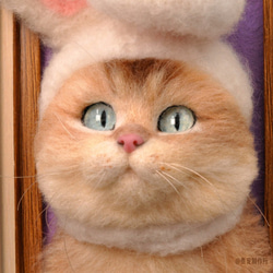「オーダーメイド」高度シミュレーションウールフェルトエンボスステレオフォトフレームペットバストヘア植毛シミュレーション猫---マ 1枚目の画像