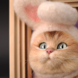 「オーダーメイド」高度シミュレーションウールフェルトエンボスステレオフォトフレームペットバストヘア植毛シミュレーション猫---マ 2枚目の画像