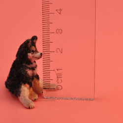 [スポット] 1:12 シミュレーションミニチュアドールハウスペット黒柴犬純粋な手作り作品 --- マップカスタム装飾に来ること 5枚目の画像