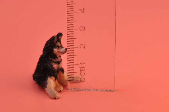 【現貨】1:12 仿真微縮娃娃屋寵物 黑柴犬 純手工作品---可來圖定制 擺件 第5張的照片