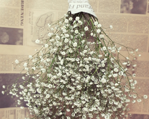 たっぷりボリューム☆かすみ草のスワッグ ドライフラワー NOBA-FLOWER  