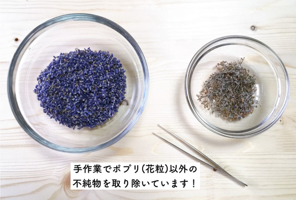 【北海道産】濃紫ラベンダーの粉末10g【無農薬栽培】 4枚目の画像