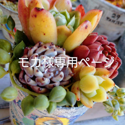 粉ふるいリメイク缶＊No.2カラフルリメイク＊多肉植物＊ガーデニング