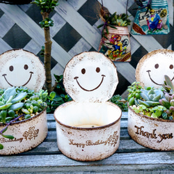 リメイク缶a-22☆多肉植物☺︎︎寄せ植え☺︎︎インテリア ほっこりスマイルよせ⑅◡̈*リメイク缶多肉植物寄せ植え 一輪挿し