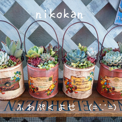 数量限定＊ 春の♡ふわぷくよせ(=∵=)♡ リメイク缶多肉植物寄せ植え