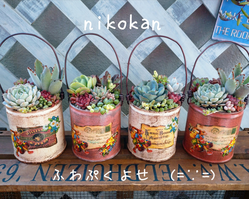 数量限定＊ 春の♡ふわぷくよせ(=∵=)♡ リメイク缶多肉植物寄せ