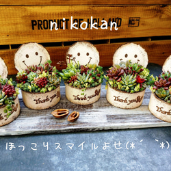 ★多肉植物　寄せ植え〜リメ缶寄せ〜★ リメ缶に多肉植物 寄せ植え 多肉植物 maki 通販 13871869｜Creema