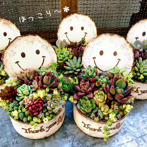 リメイク缶*ハンドメイド⭐️多肉植物に最適19缶