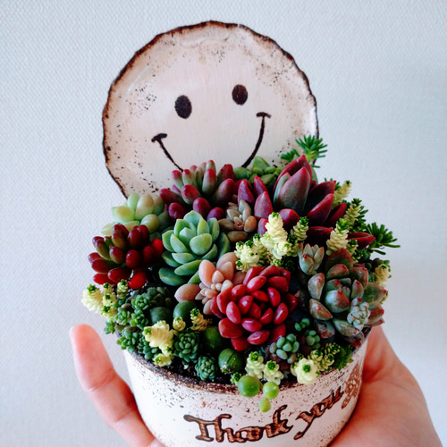 リメ缶に寄せ植え ポートさんのリメ缶 | ワタシの知らない多肉