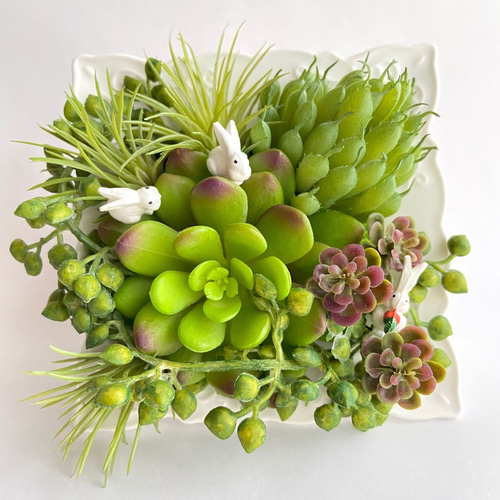 多肉植物と白い花のフラワーアレンジメント