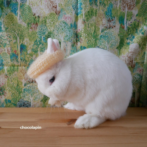 うさぎさん用リボンベレー帽 ラピス【受注製作】 ペット服